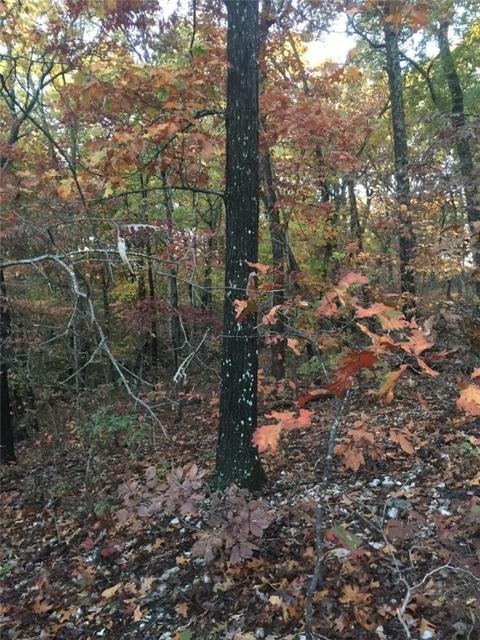 Cawood Drive, Bella Vista, AR 72714