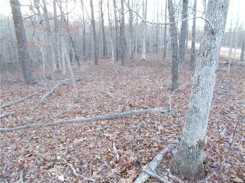 Tract 1 Oriole, Jane, MO 64856