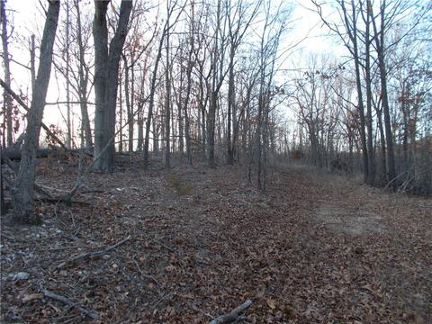 Tract 7 Oriole, Jane, MO 64856