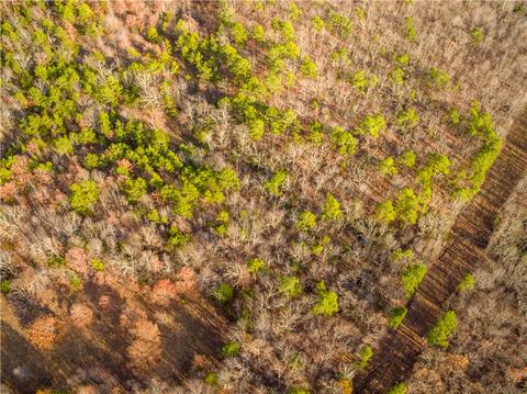 151 Crossing Rd, Marshall, AR 72650 photo 16