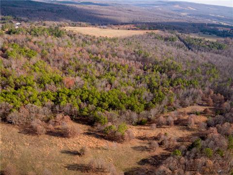 151 Crossing Rd, Marshall, AR 72650 photo 20