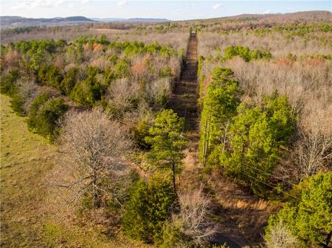 151 Crossing Rd, Marshall, AR 72650 photo 8
