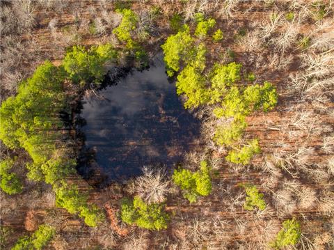 151 Crossing Rd, Marshall, AR 72650 photo 14