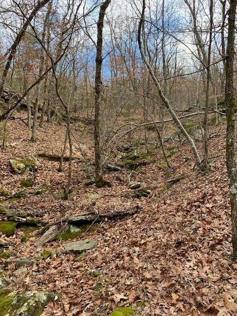 16600 Low Gap Rd, West Fork, AR 72774 photo 34
