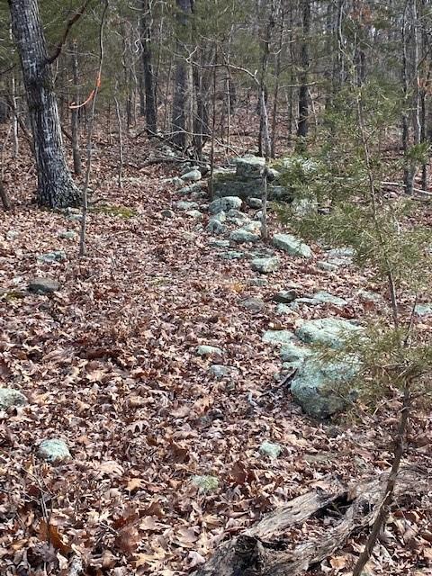 16600 Low Gap Rd, West Fork, AR 72774 photo 21