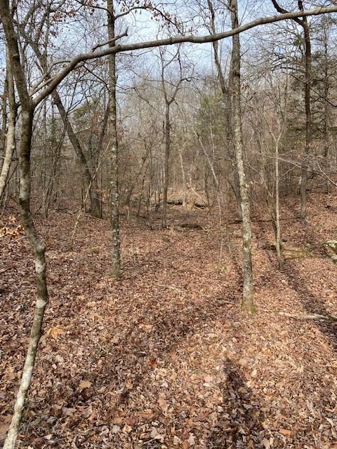 16600 Low Gap Rd, West Fork, AR 72774 photo 30