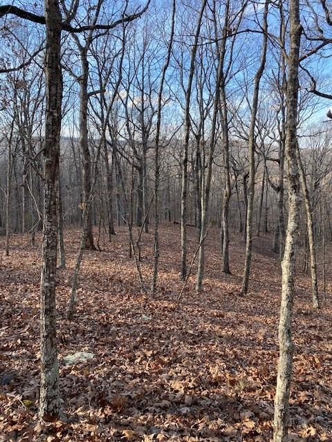 16600 Low Gap Rd, West Fork, AR 72774 photo 2
