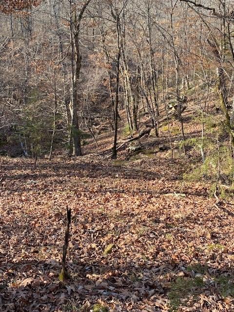 16600 Low Gap Rd, West Fork, AR 72774 photo 50