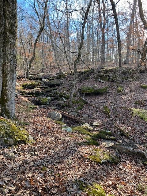 16600 Low Gap Rd, West Fork, AR 72774 photo 49