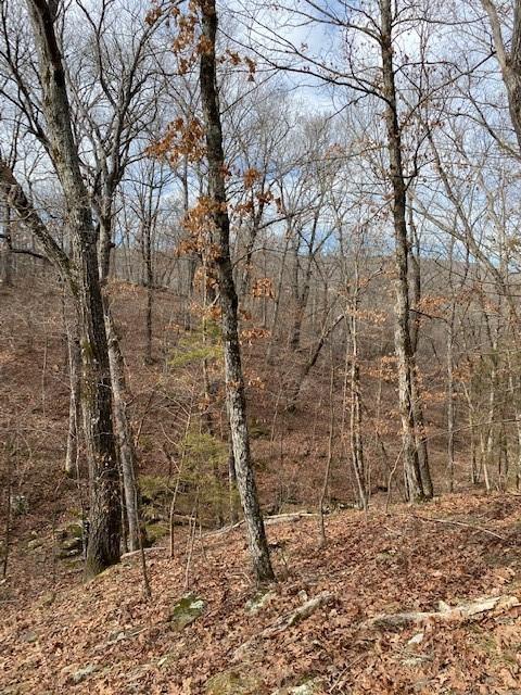 16600 Low Gap Rd, West Fork, AR 72774 photo 37