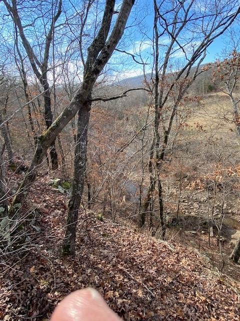 16600 Low Gap Rd, West Fork, AR 72774 photo 43