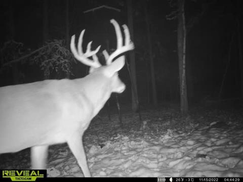 16600 Low Gap Rd, West Fork, AR 72774 photo 3