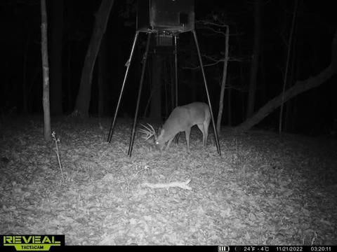 16600 Low Gap Rd, West Fork, AR 72774 photo 9