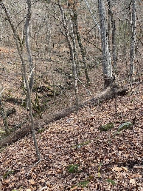 16600 Low Gap Rd, West Fork, AR 72774 photo 40