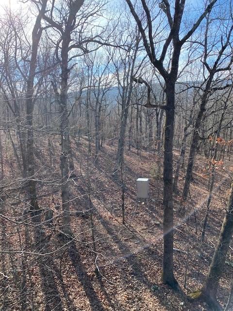 16600 Low Gap Rd, West Fork, AR 72774 photo 54