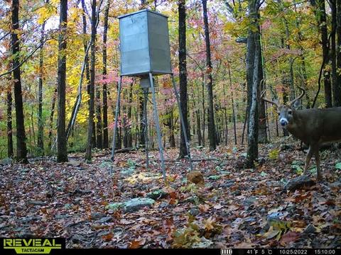 16600 Low Gap Rd, West Fork, AR 72774 photo 6