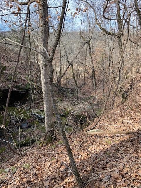 16600 Low Gap Rd, West Fork, AR 72774 photo 24