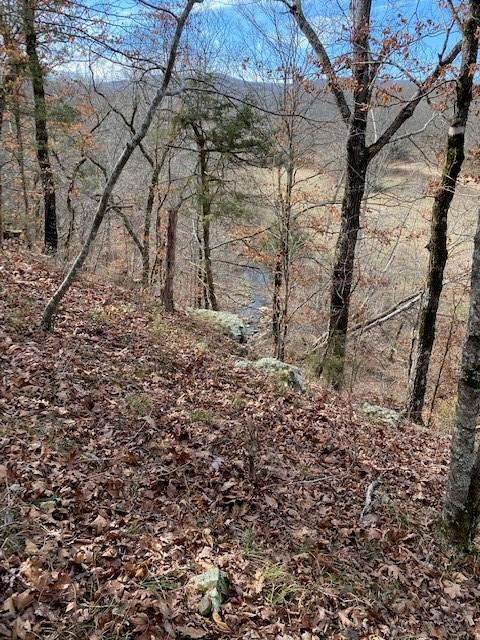 16600 Low Gap Rd, West Fork, AR 72774 photo 41