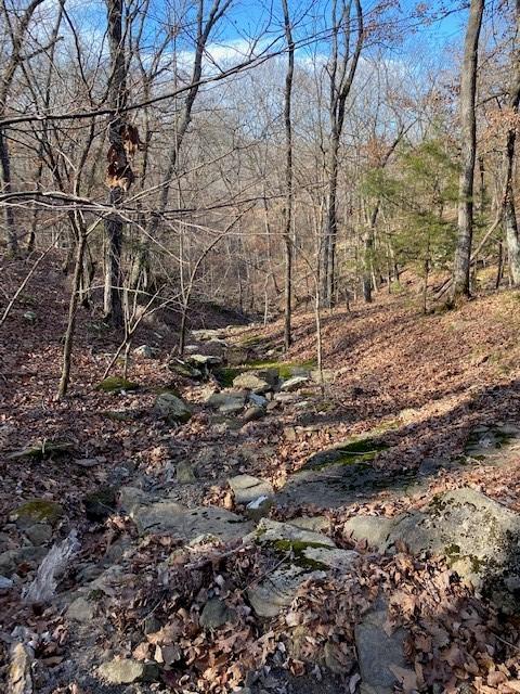16600 Low Gap Rd, West Fork, AR 72774 photo 47