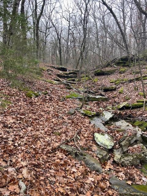 16600 Low Gap Rd, West Fork, AR 72774 photo 15