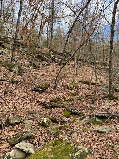 16600 Low Gap Rd, West Fork, AR 72774 photo 33