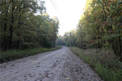 16600 Low Gap Rd, West Fork, AR 72774 photo 58