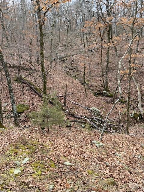 16600 Low Gap Rd, West Fork, AR 72774 photo 36