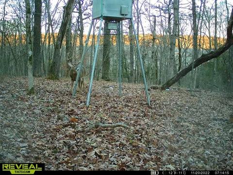 16600 Low Gap Rd, West Fork, AR 72774 photo 11