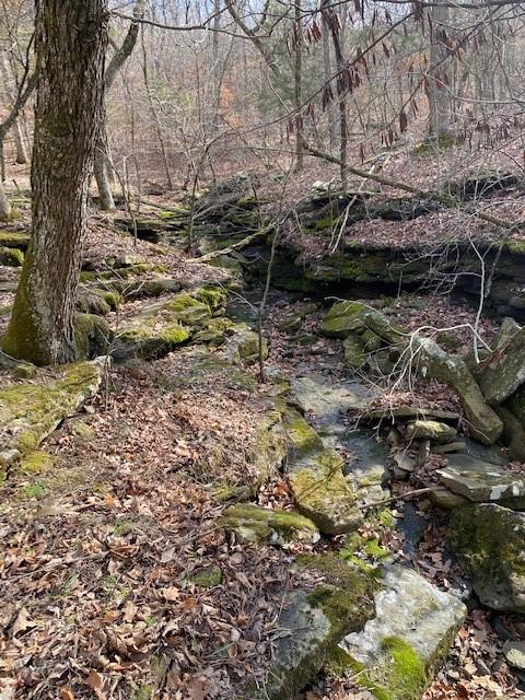 16600 Low Gap Rd, West Fork, AR 72774 photo 23