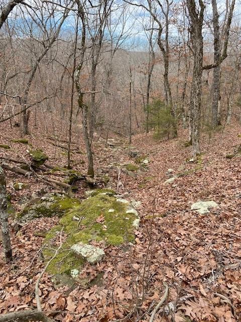 16600 Low Gap Rd, West Fork, AR 72774 photo 38