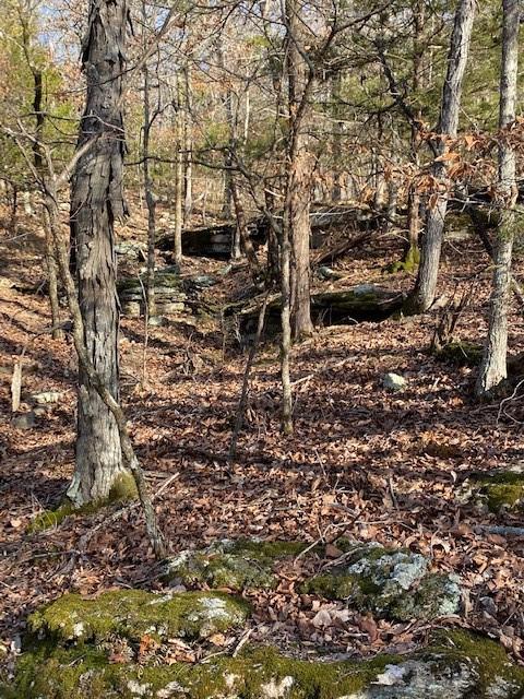 16600 Low Gap Rd, West Fork, AR 72774 photo 51