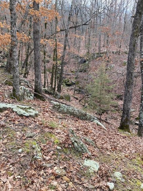 16600 Low Gap Rd, West Fork, AR 72774 photo 35