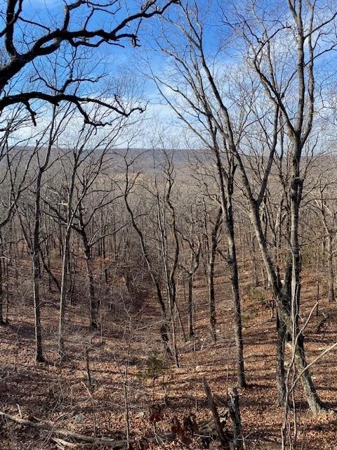 16600 Low Gap Rd, West Fork, AR 72774 photo 52
