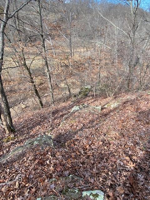 16600 Low Gap Rd, West Fork, AR 72774 photo 42