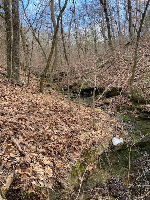 16600 Low Gap Rd, West Fork, AR 72774 photo 27