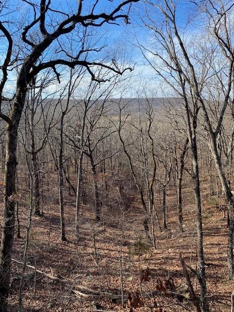 16600 Low Gap Rd, West Fork, AR 72774 photo 55