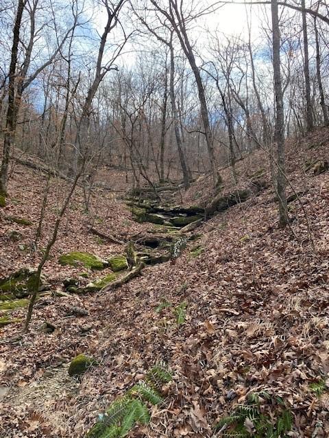 16600 Low Gap Rd, West Fork, AR 72774 photo 31