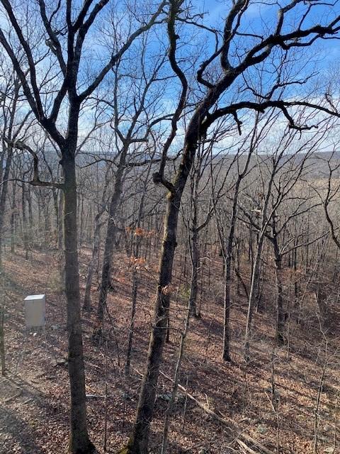 16600 Low Gap Rd, West Fork, AR 72774 photo 53