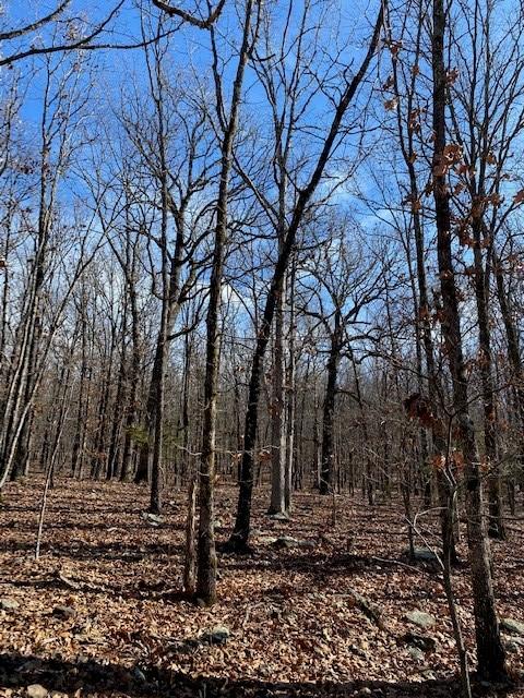 16600 Low Gap Rd, West Fork, AR 72774 photo 44