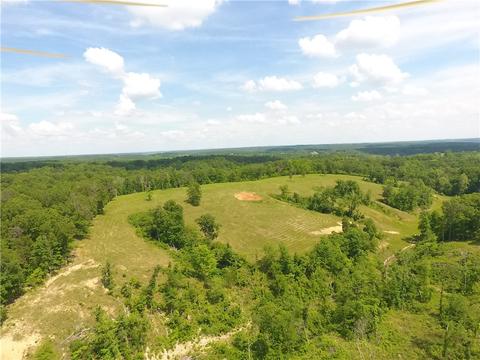 Tick Ridge Road, Pineville, MO 65856