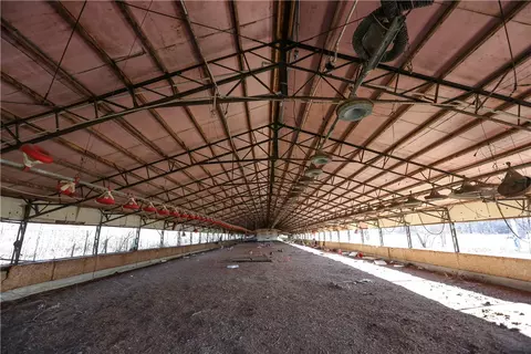 10908 Ruby Hall Rd, Gentry, AR 72734 photo 12