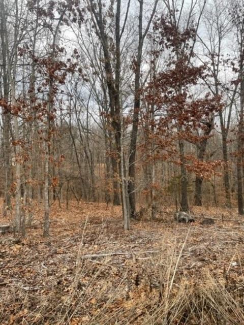 Tummell Drive, Bella Vista, AR 72715
