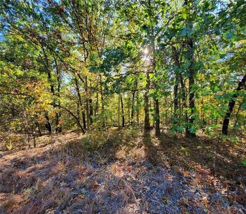 Tract B-3 Hwy 16, Fayetteville, AR 72704