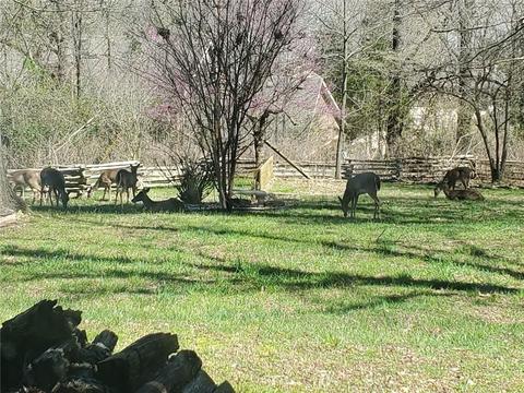 22774 Ellenbarger Rd, Springdale, AR 72764 photo 28