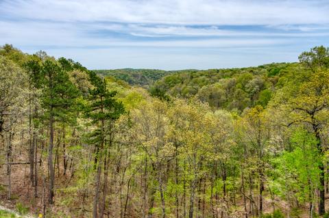 Highway 187, Eureka Springs, AR 72631