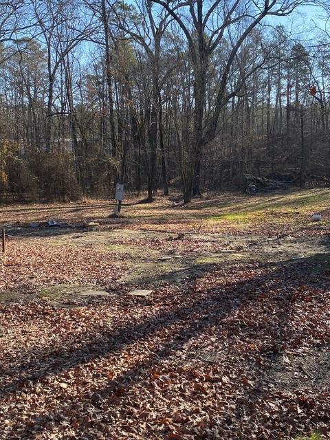 602 Logan Gap Rd, Other, AR 71957 photo 4