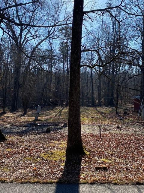 602 Logan Gap Rd, Other, AR 71957 photo 2