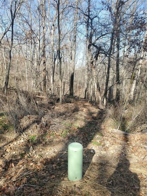 Sheneman Drive, Bella Vista, AR 72715