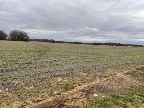 900 Roy Newton Rd, Des Arc, AR 72040