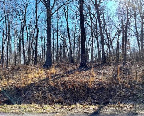 Kintyre Lane, Bella Vista, AR 72715